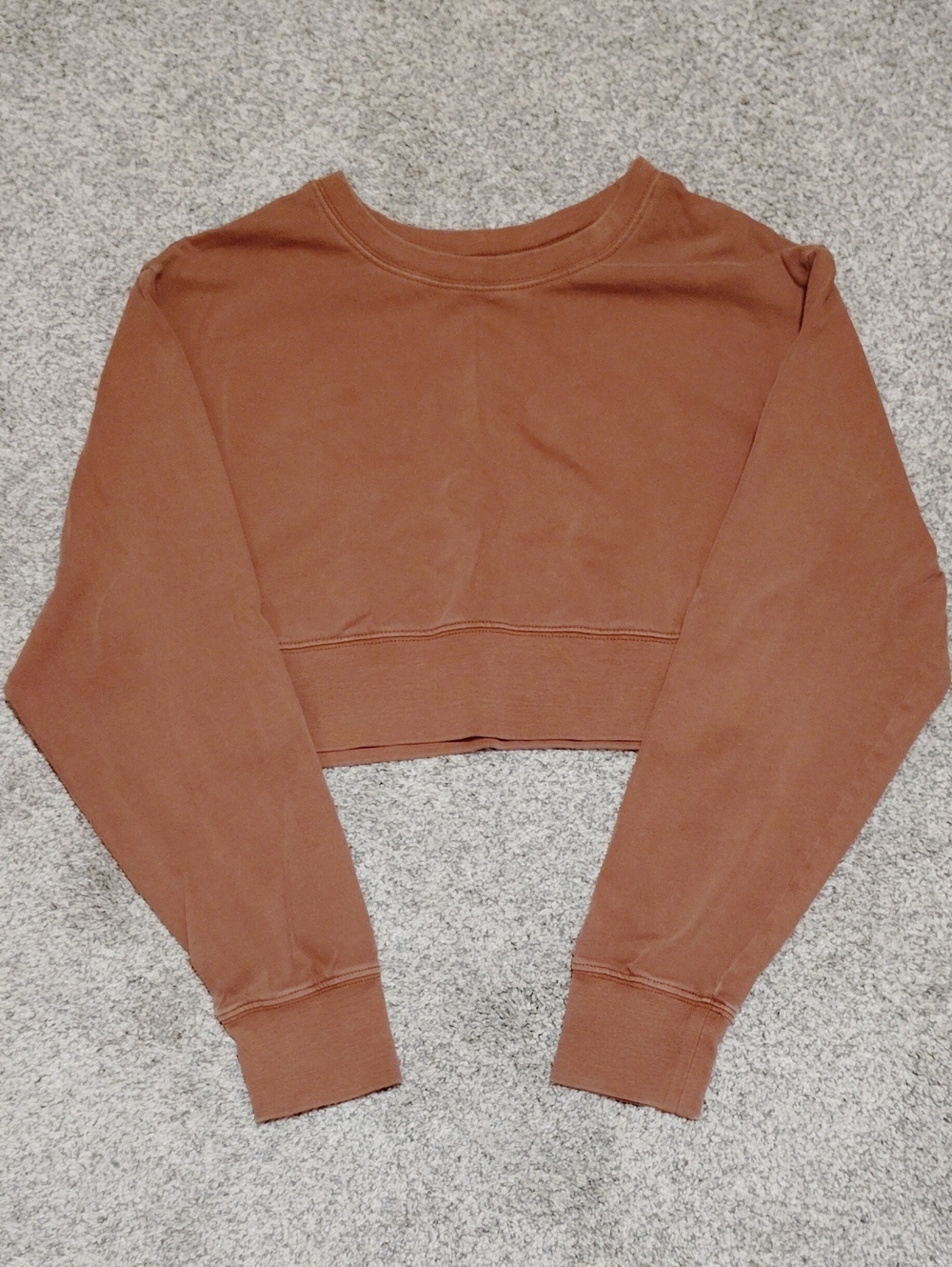 Double Zero Cropped Crewneck Sweatshirt in Rust